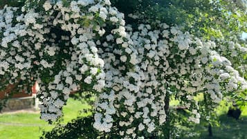 花園