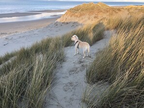 Beach nearby