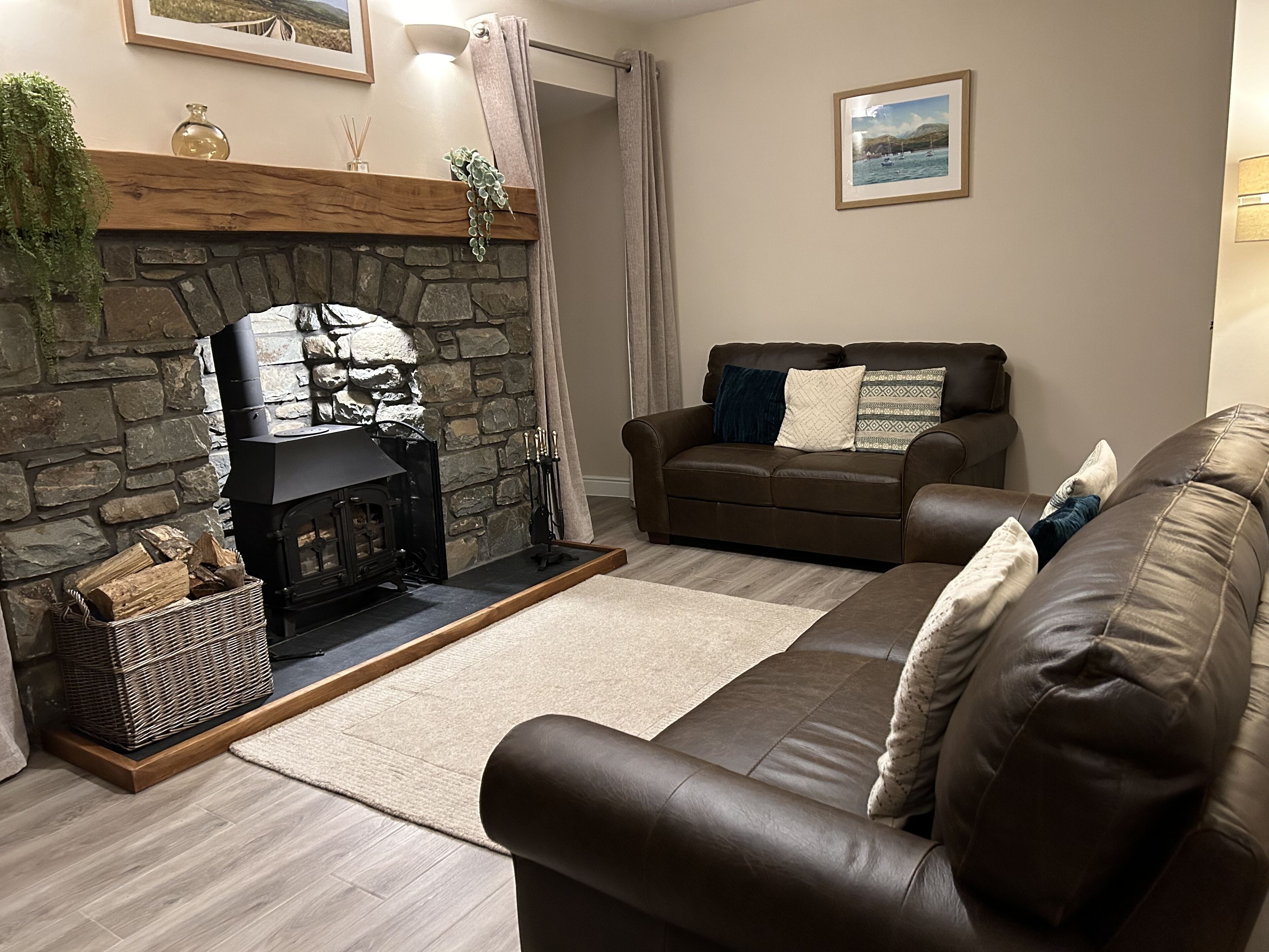Smart TV, fireplace, DVD player, books