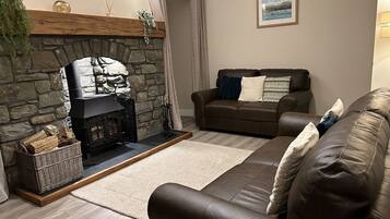 Smart TV, fireplace, DVD player, books