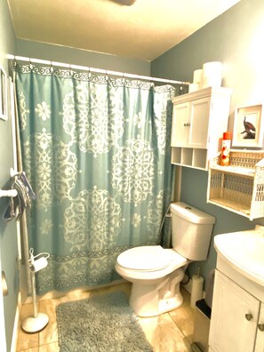 Douche, séchoir à cheveux, bidet, serviettes fournies