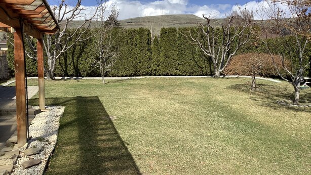 A well-maintained grassy yard with a wooden pergola structure, surrounded by trees and a distant mountain range.