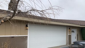 A garage with a white door, a black car parked in front, and a tree with bare branches.