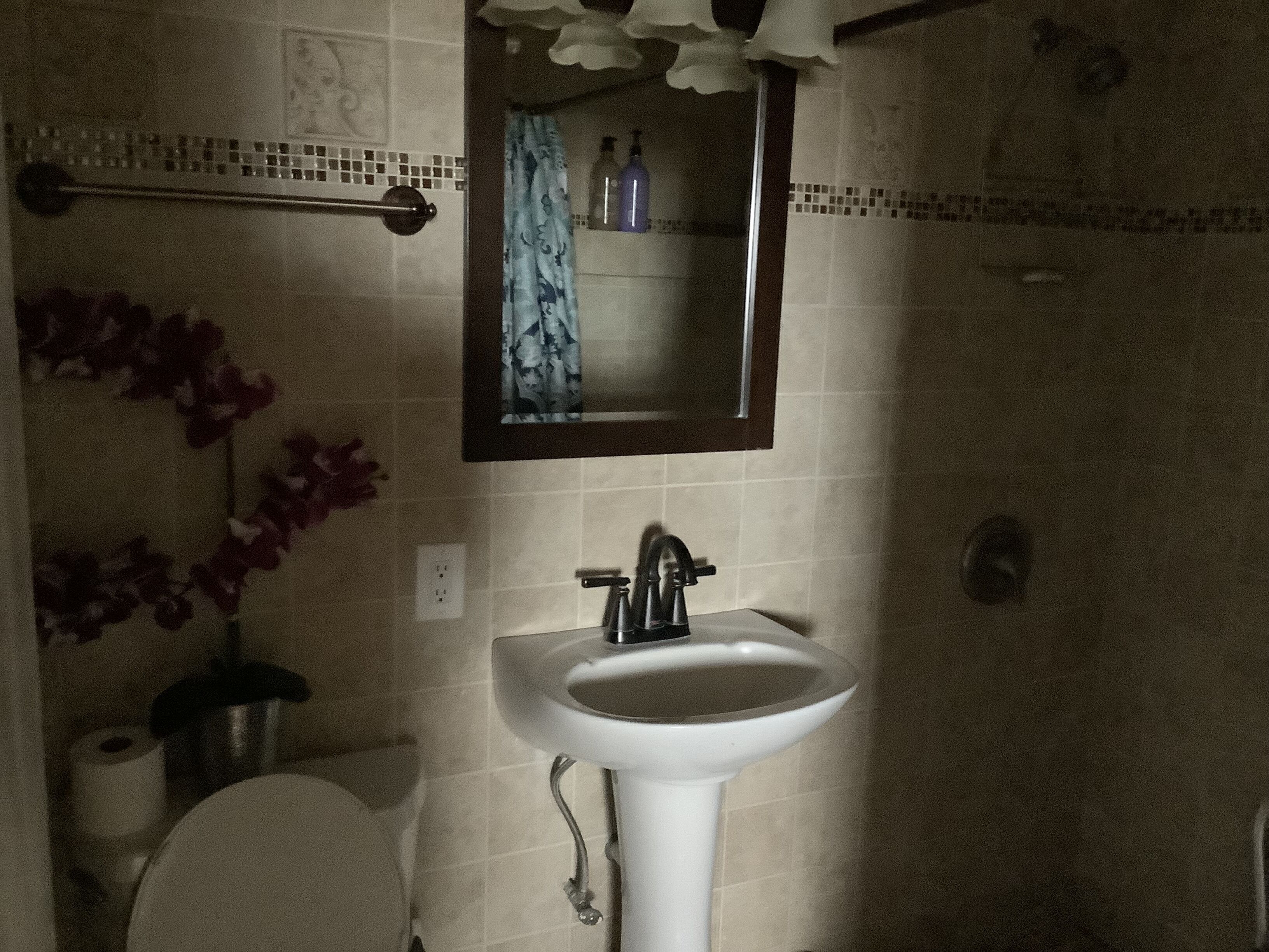 A bathroom with a white sink, a mirror, and a shower.