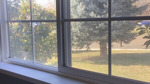 A window with a view of a tree and a lawn.