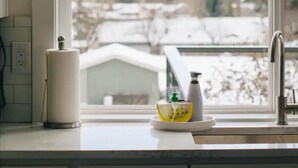 Una encimera de cocina con vista a la ventana, un dispensador de jabón, un limón y un rollo de toallas de papel.