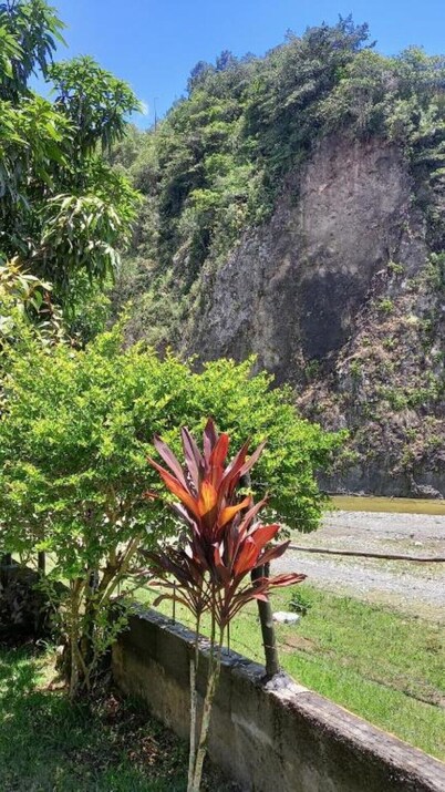 Bungalow directly on the river Bungalow directly on the river with bathing area 
