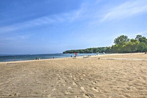 Une plage avec un ciel dégagé, un rivage sablonneux et une zone boisée en arrière-plan.