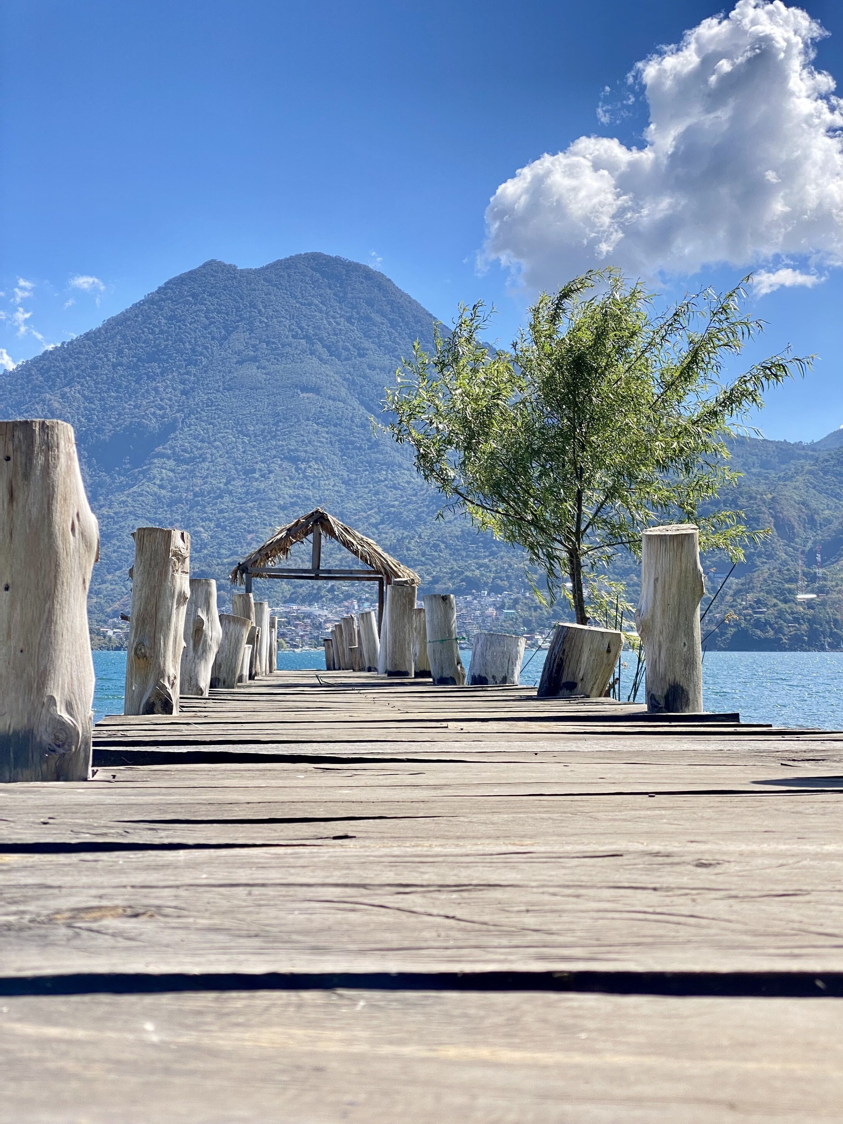 Un muelle de madera que lleva a un pequeño refugio con techo de paja, rodeado de grandes troncos de árboles y una montaña al fondo.