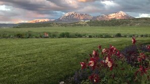 A field with flowers and a mountain in the background. - Beautiful Glamping Tent at Zenzen Gardens (Paonia)