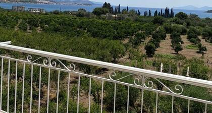 Leonidas resort is full sea view.