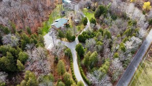 An aerial view of a residential area with a winding road, surrounded by dense trees and a few houses with green roofs.