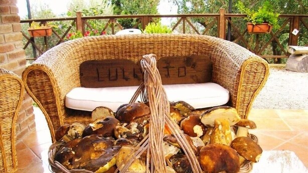 A wicker basket filled with mushrooms on a table in an outdoor setting. - Agriturismo L'uliveto (Reitano)