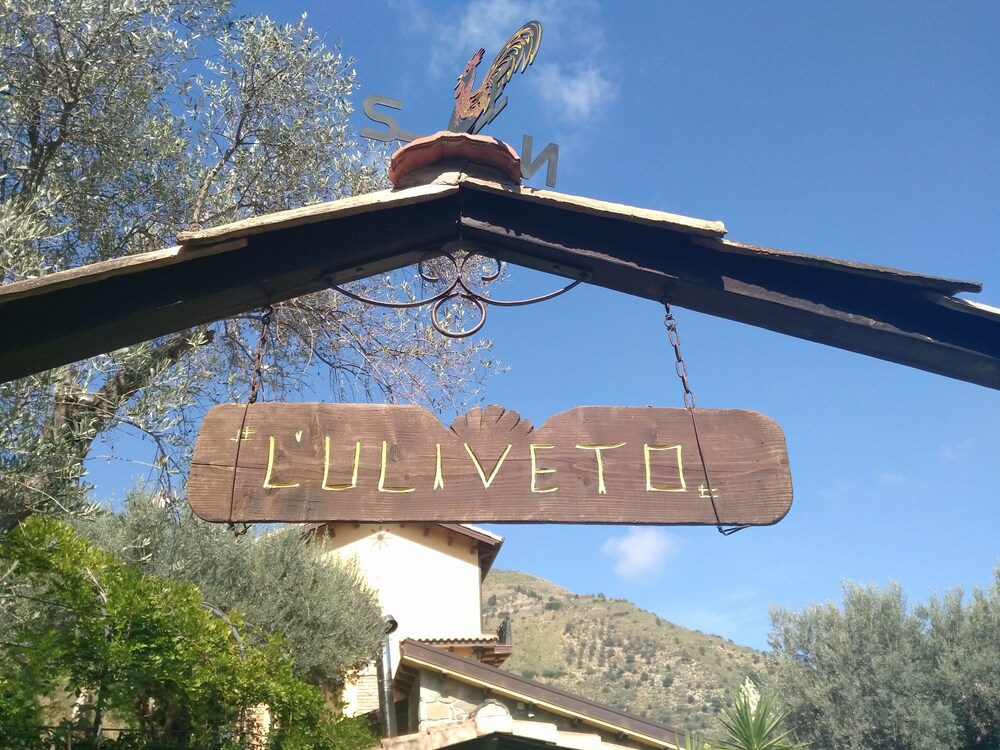 Agriturismo L'Uliveto by null