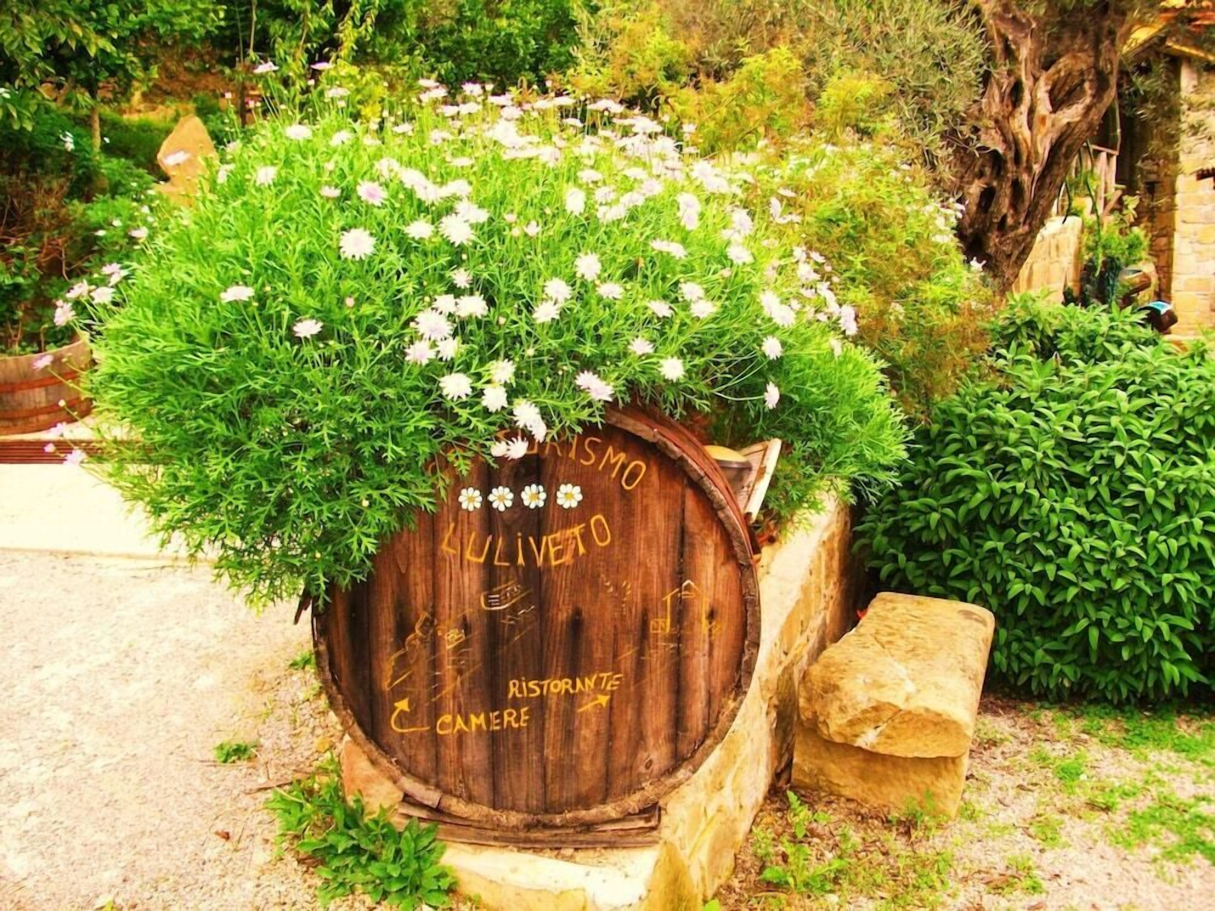 Terrein van de accommodatie