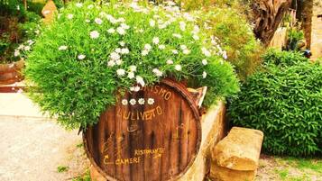 Terrein van de accommodatie