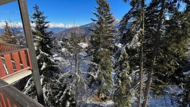 A snowy mountain landscape with evergreen trees and a clear blue sky.