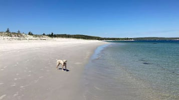 Una spiaggia nelle vicinanze