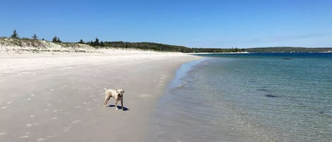 Beach nearby