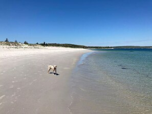 بالقرب من الشاطئ