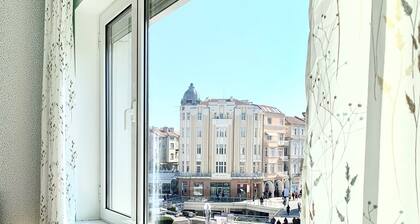 Studio Antique Stade Romain