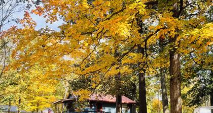 The comfy cozy cabin awaits you!!