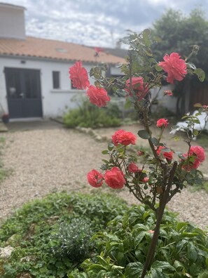 Detalhe da fachada