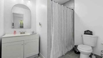 A bathroom with a white vanity, a large mirror, a toilet, and a shower curtain.