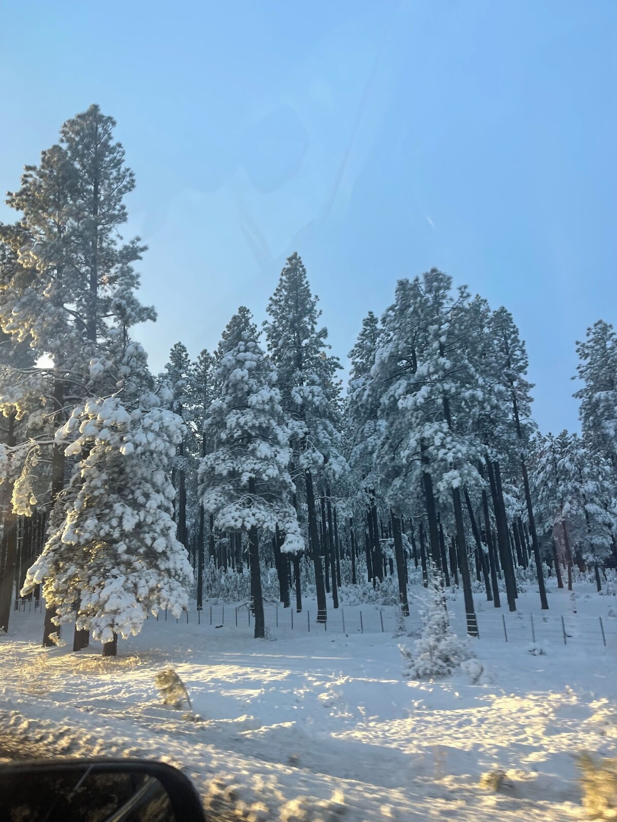 Foto de perfil del anfitrión