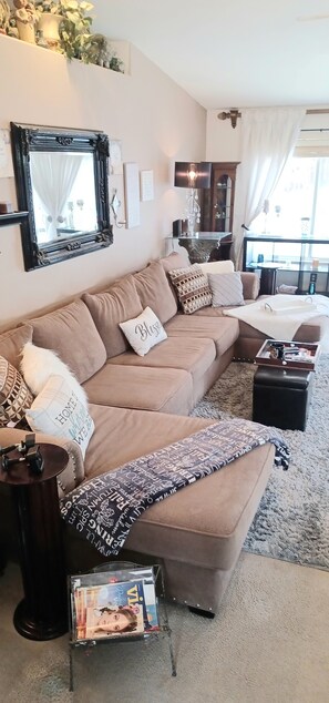 Smart TV, DVD player, video library