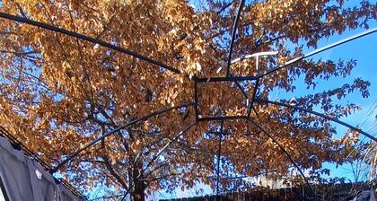 Entire Home Extended Stay Master Suite