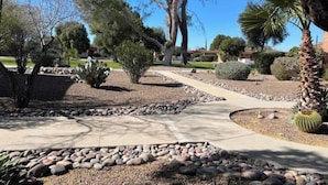 Un jardín ajardinado con un sendero serpenteante, arbustos variados y un cactus.