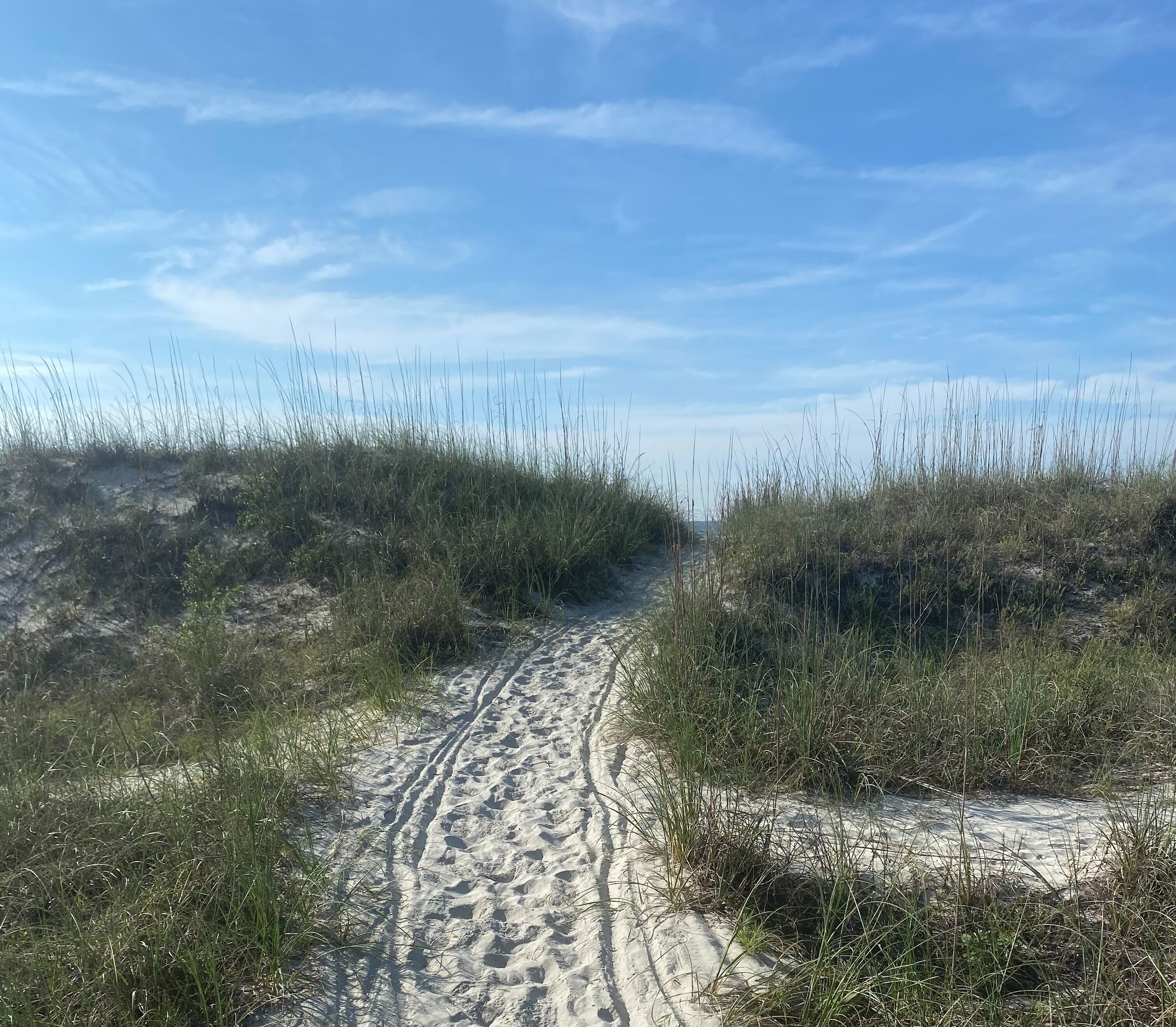 A sandy path with footprints leading through tall grass.