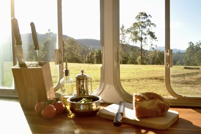 Coffee Grounds - The Bus