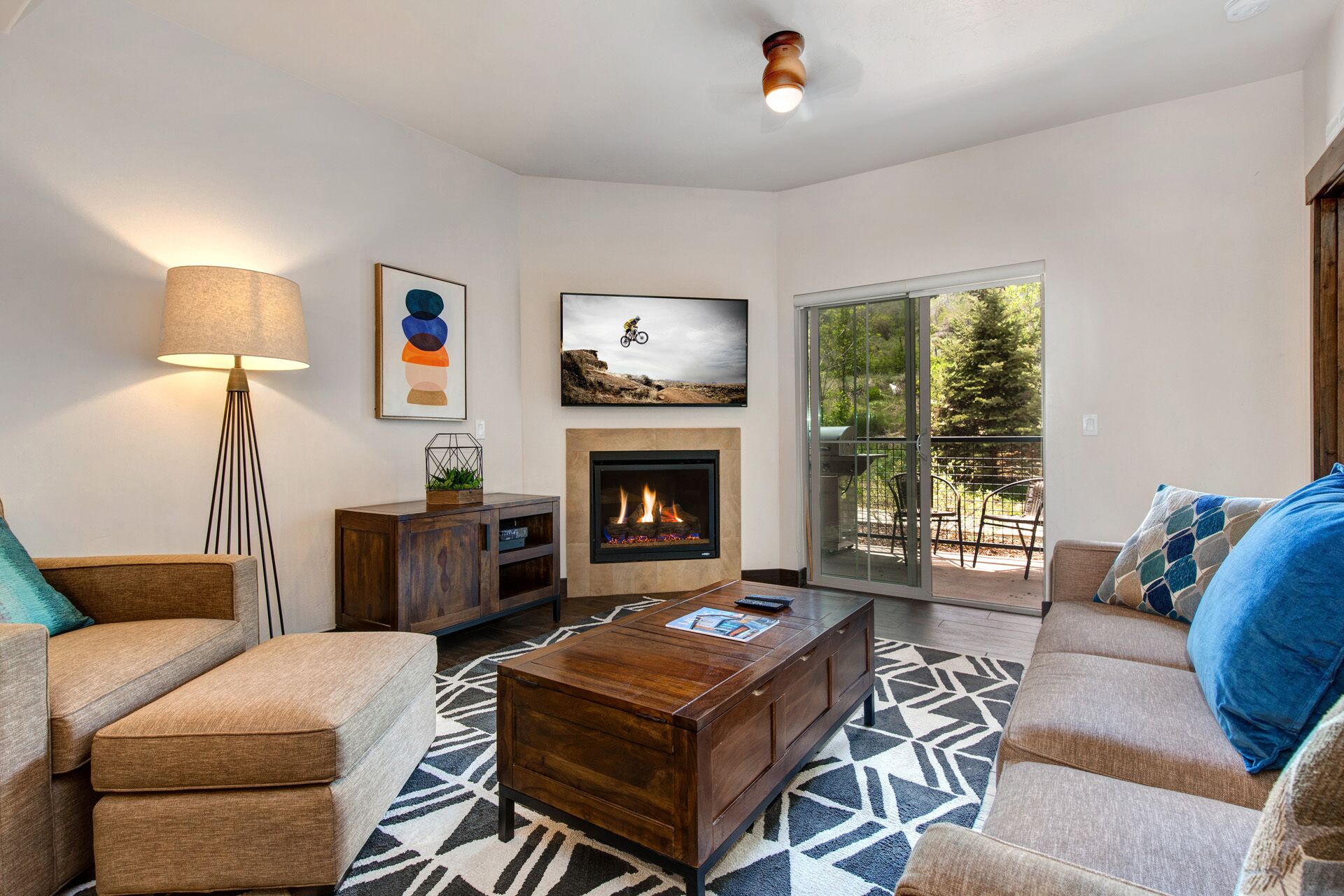 Smart TV, fireplace, books, video library