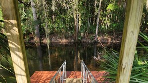 Un puente de madera que conduce a un muelle sobre aguas tranquilas, rodeado de abundante vegetación y árboles.