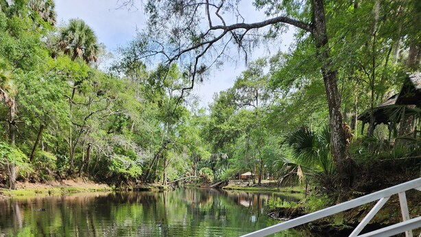 Un muelle de madera se extiende sobre un río tranquilo bordeado de abundante vegetación.