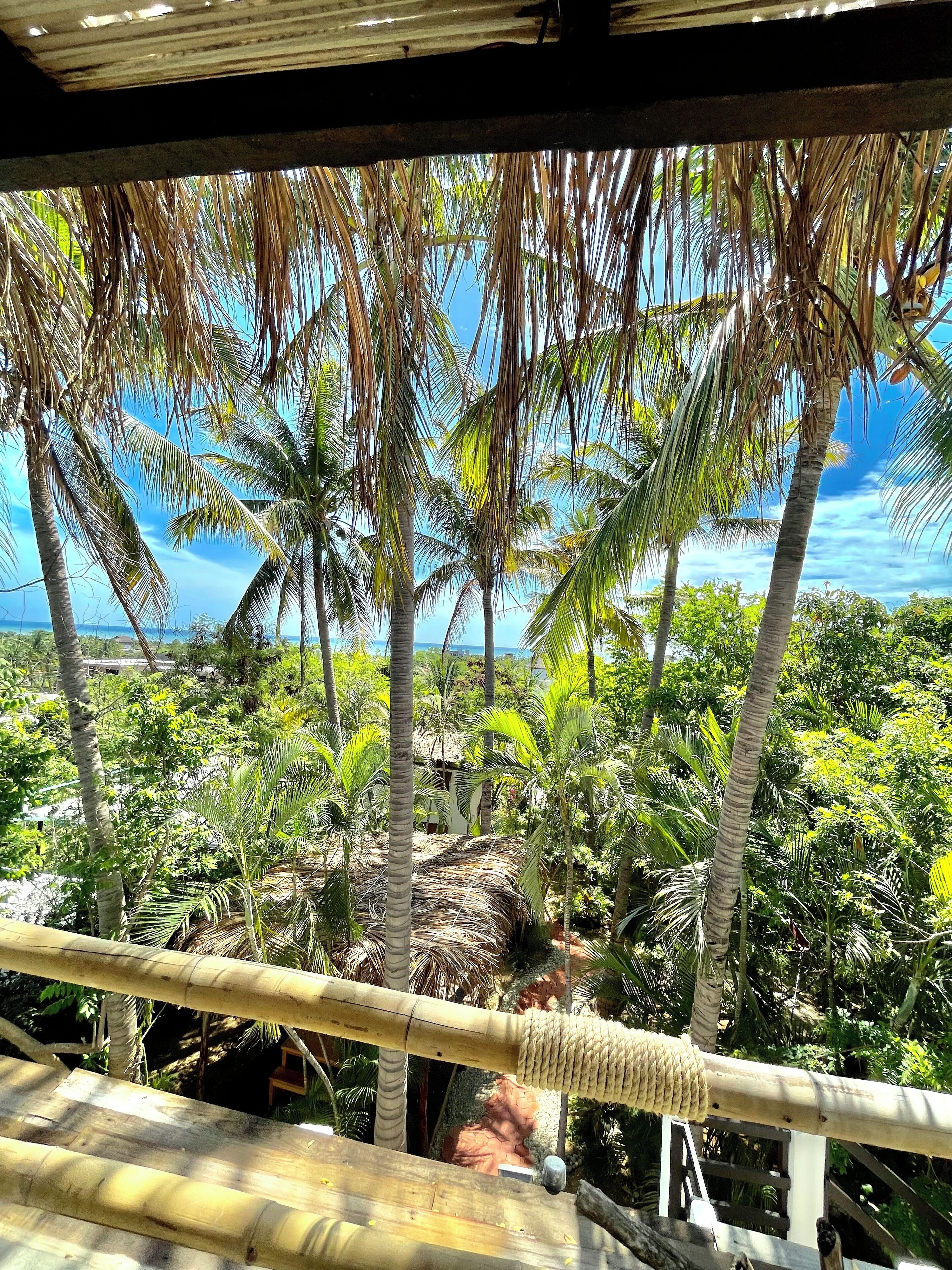 尊爵套房 | 露台/庭院