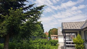 Un quartier résidentiel où se trouve une maison dotée d’un patio couvert et d’un jardin agrémenté de diverses plantes et arbres.