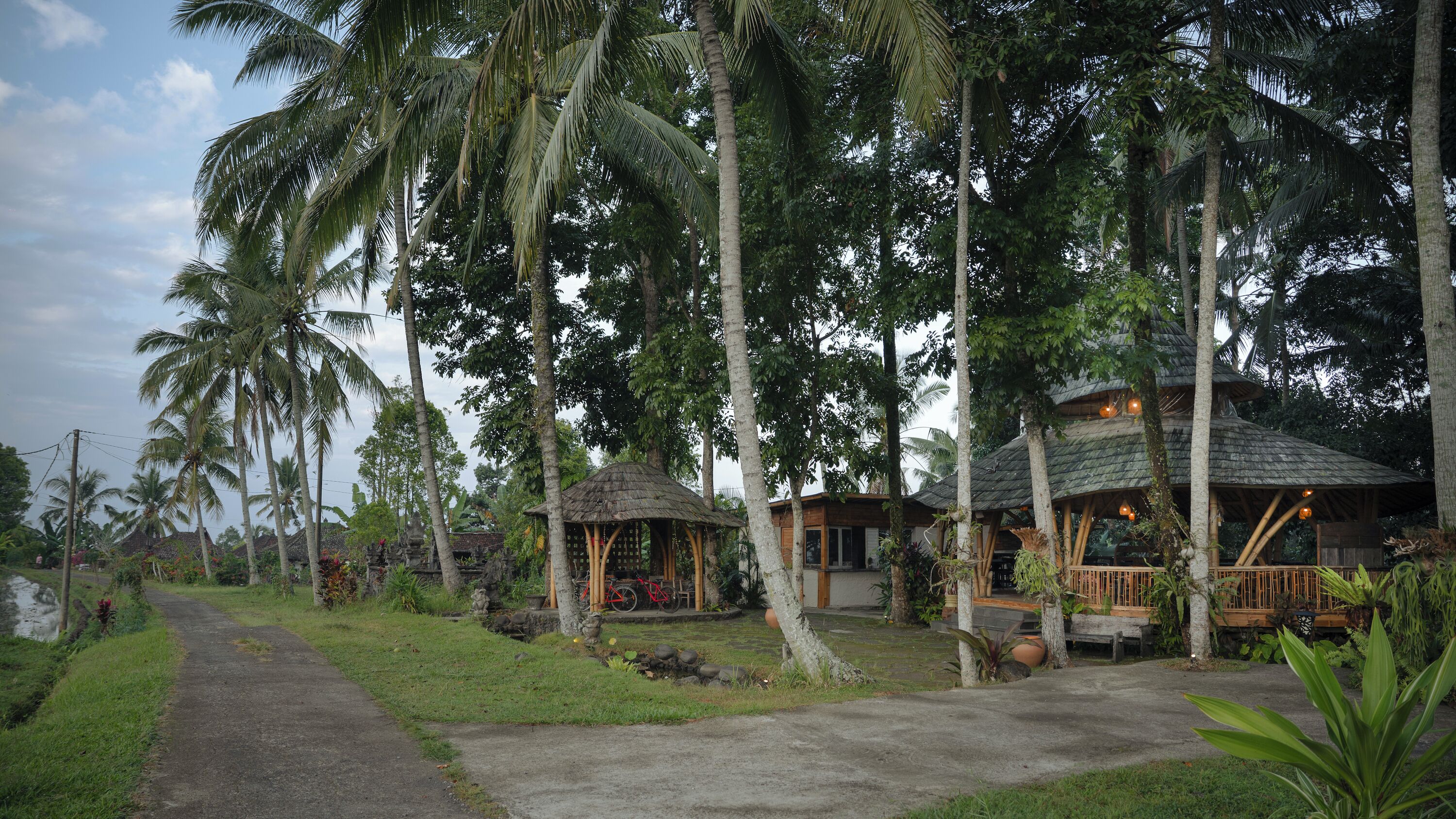 A tropical resort with thatched-roof structures, a paved walkway, and lush greenery.