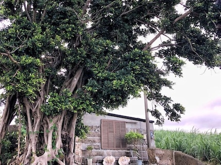 Property grounds. Villa Gazamani