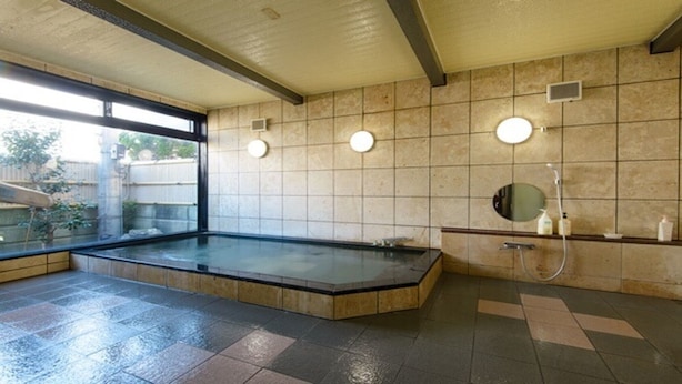 Un área de spa con un jacuzzi grande, ducha y un espejo pequeño.