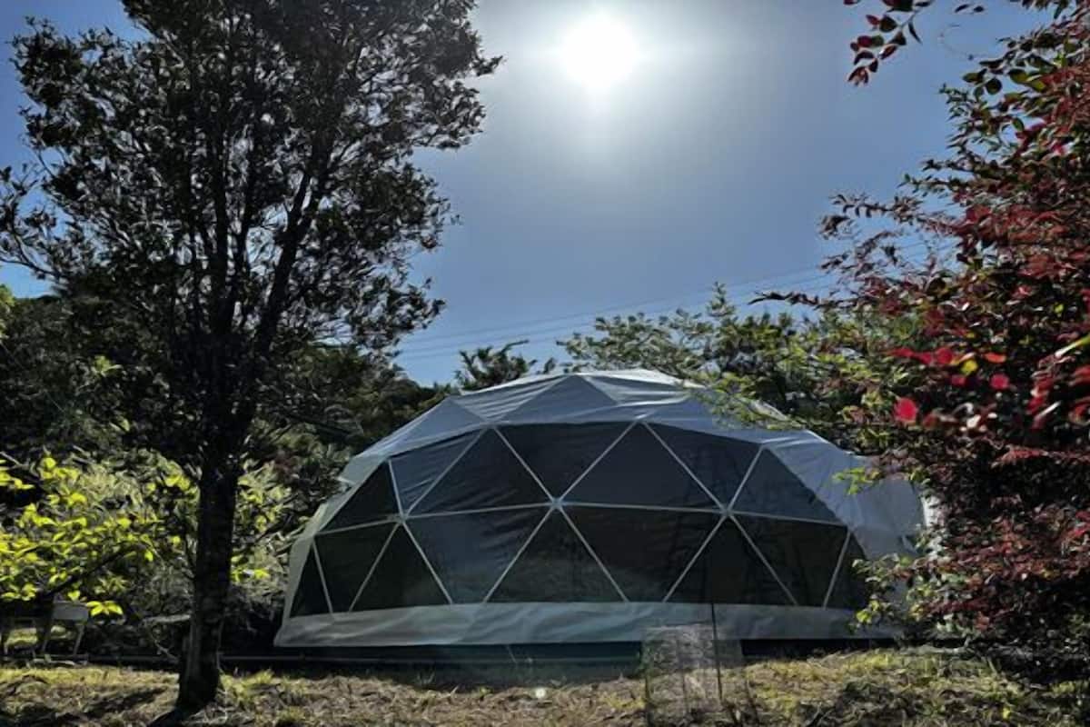 A geodesic dome structure in a natural setting with trees and clear skies.
