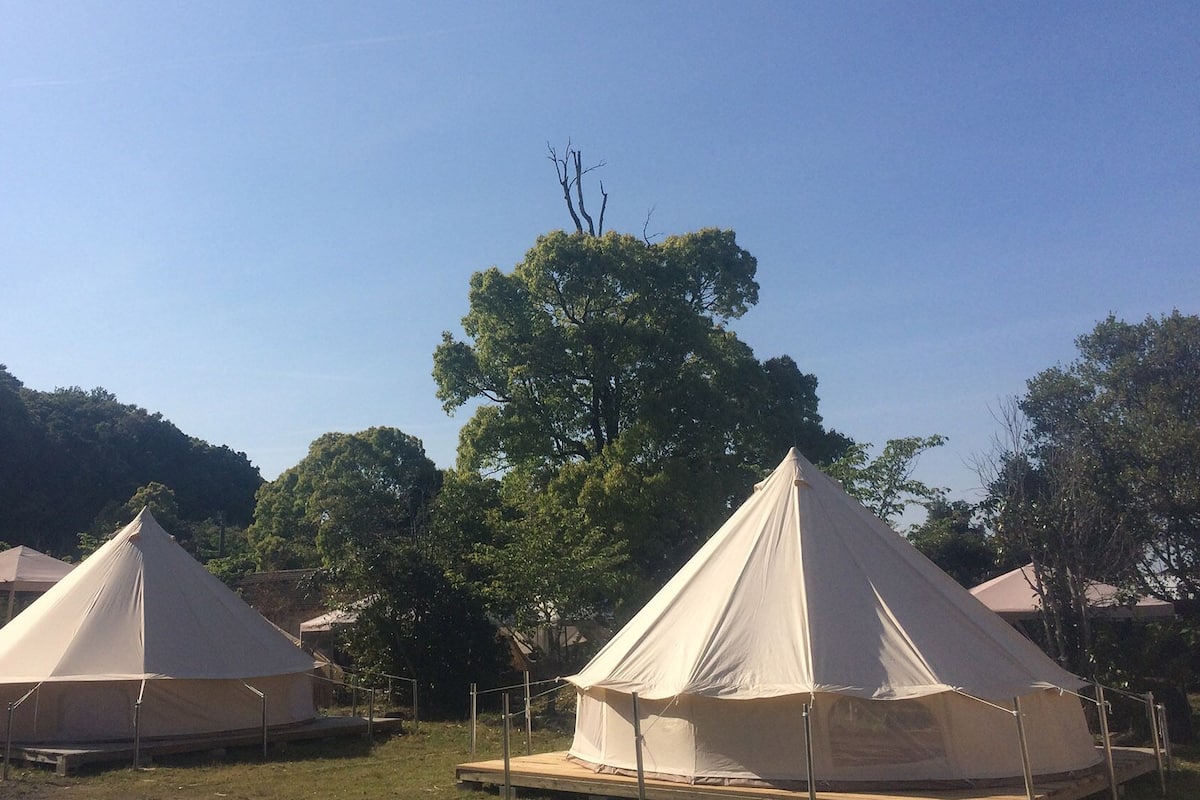 Two large, white tents with a flat base, surrounded by trees and a clear sky.