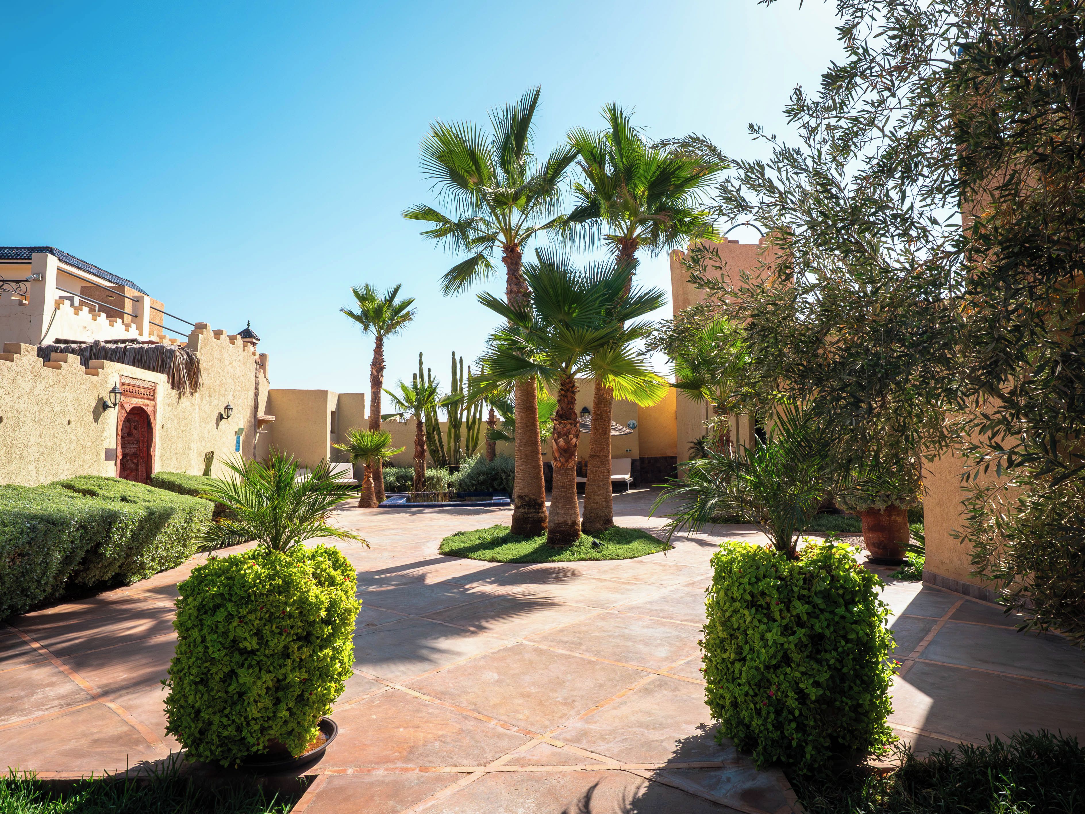 A courtyard with palm trees, a paved walkway, and traditional architecture.