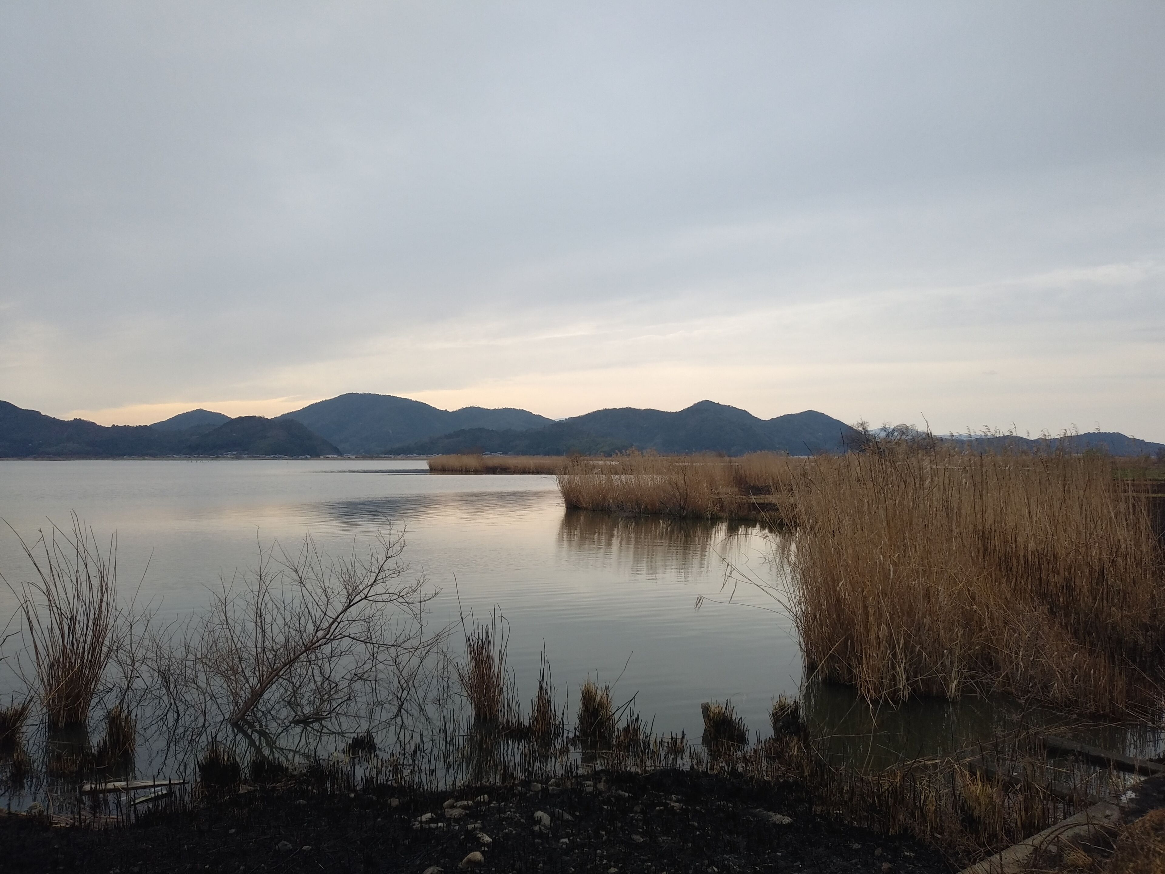 A calm lake with surrounding reeds and distant mountains.