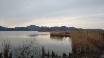 A calm lake with surrounding reeds and distant mountains.