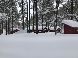 Property grounds - Little Red Cabin In The Prescott Mountains (Prescott)