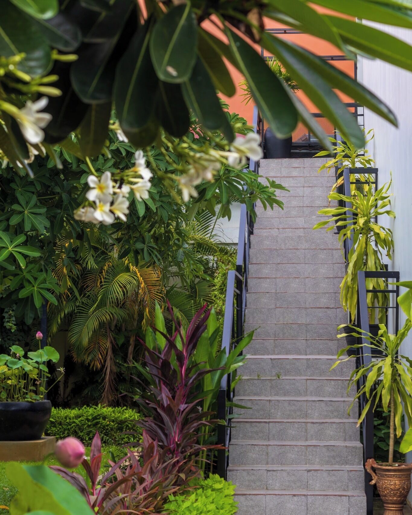 Photo - Sala Siem Reap Hotel