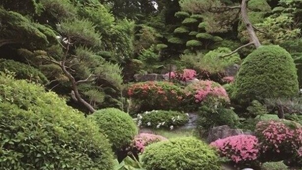 Property grounds - Tohoku Onsen (Tohoku)
